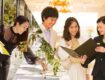 wedding coodinator